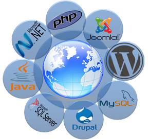 Java, PHP, mysql, .NET, joomla, wordpress, drupal